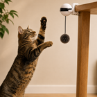 Interactive cat toy