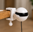 Interactive cat toy